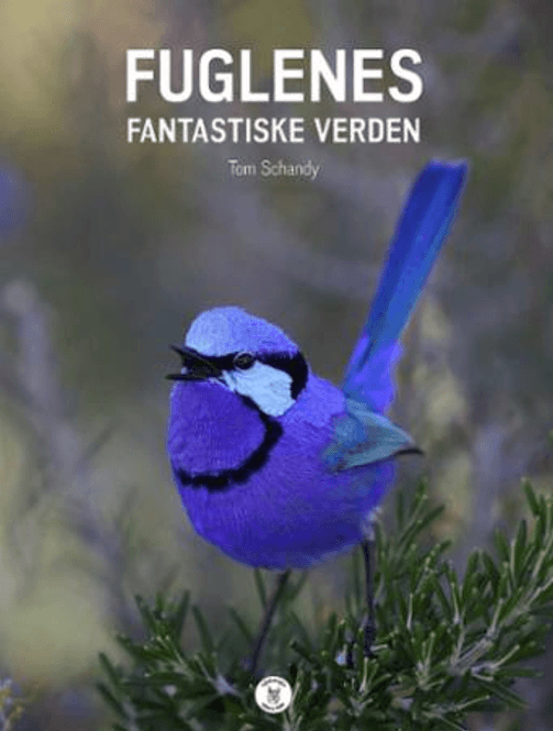 Hovedbilde Fuglenes fantastiske verden