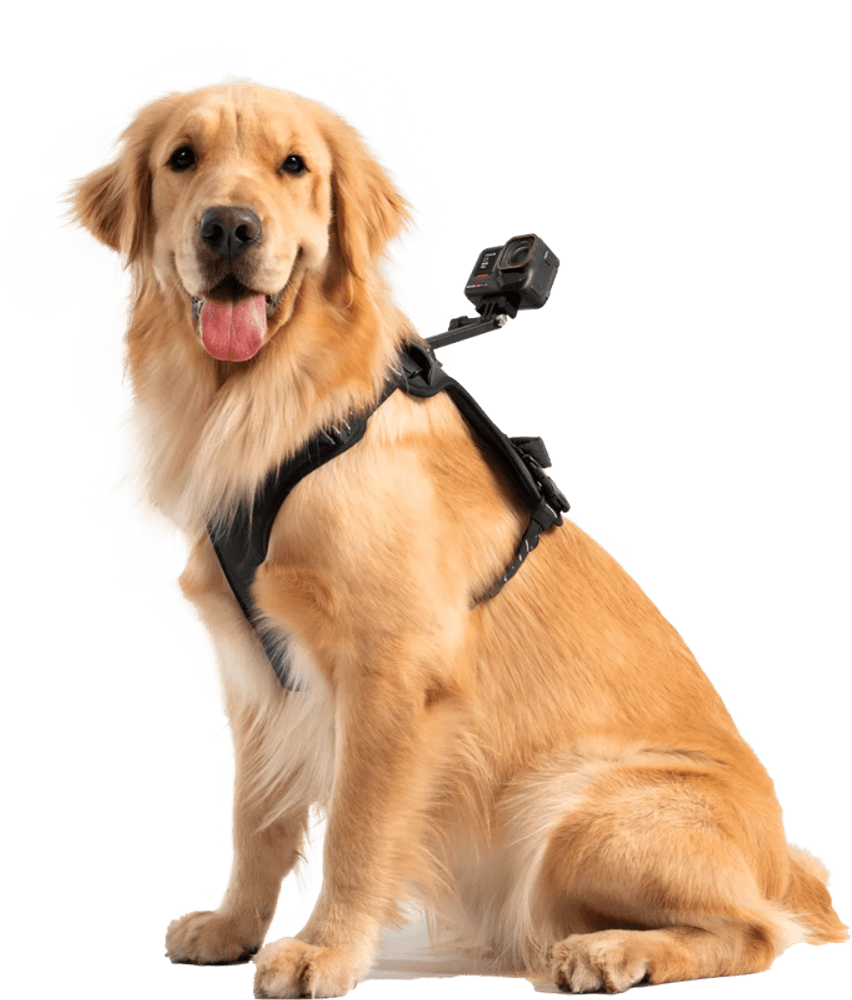 Insta360 Pet Harness Mount Size L