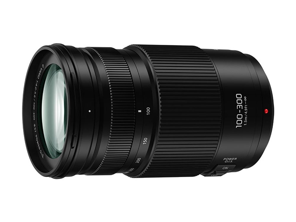 Panasonic Lumix G Vario 100-300mm f/4.0-5.6 II O.I.S