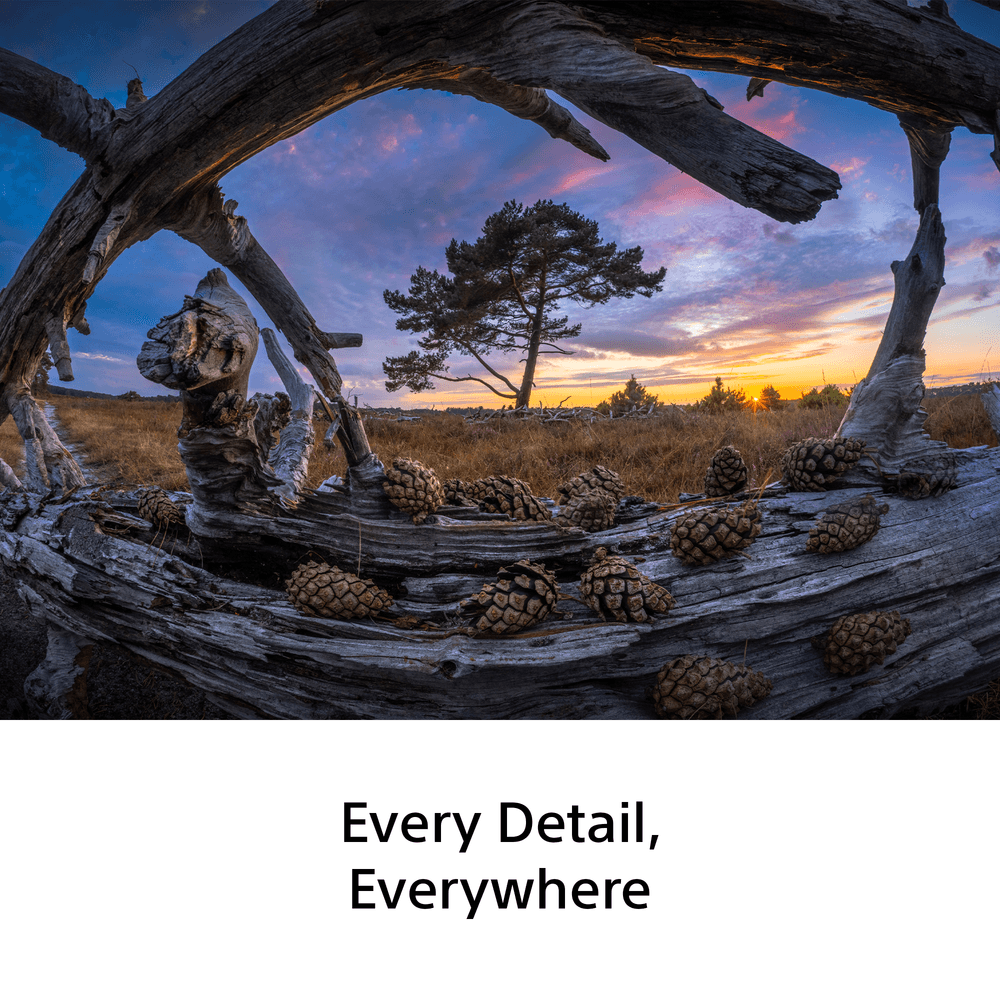 Sony FE 8-14mm f/3.5 Fisheye G
