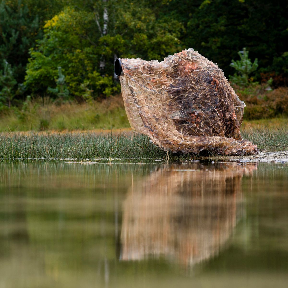 Caruba Kamuflasjenett Reed