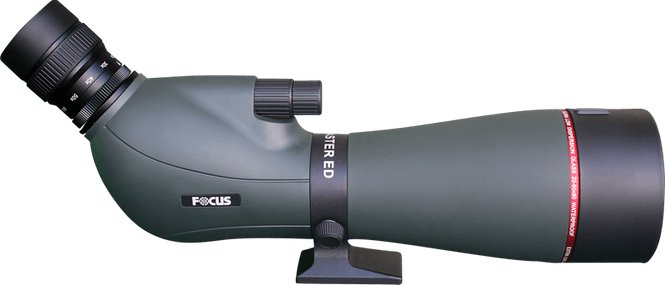 Hovedbilde Focus Sport Optics Focus Viewmaster ED 20-60X80 ...
